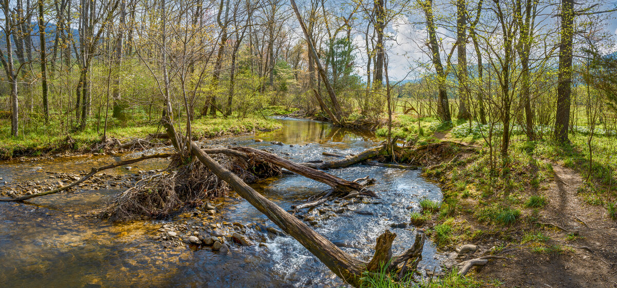 _DSC0869-Pano-Edit.jpg