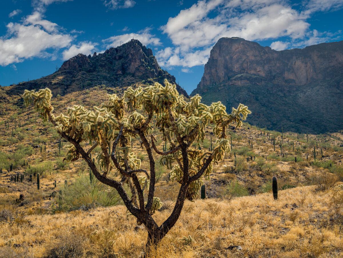 _DSC0898-NEF_DxO_DeepPRIMEXD-Pano-Edit.jpg