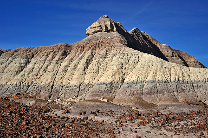 _DSC0944_dw.jpg