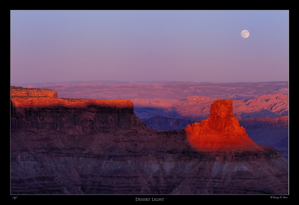 _DSC0956_1-X2.jpg