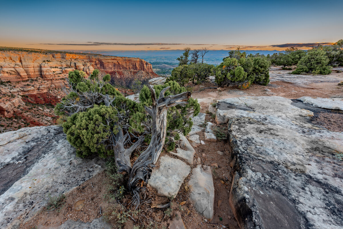_DSC1012-Edit.jpg