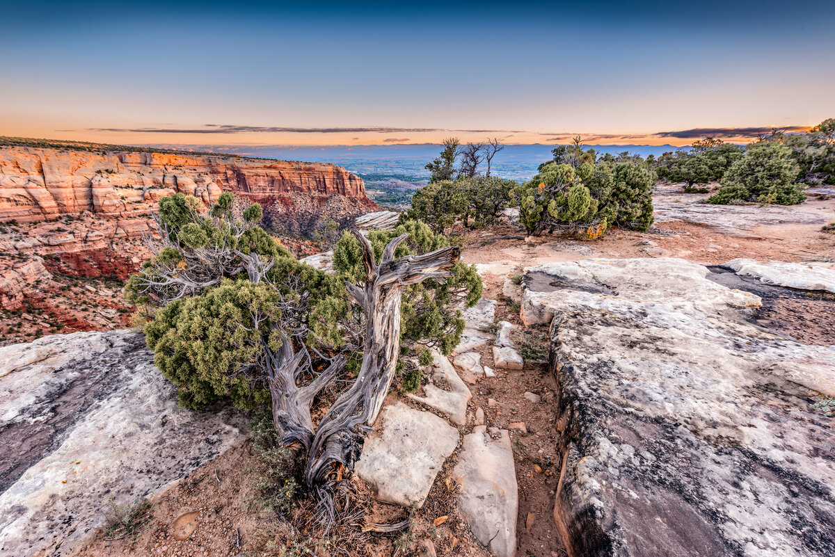 _DSC1012-Edit.jpg