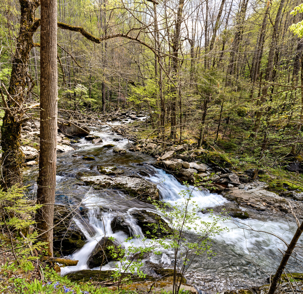 _DSC1015_DxO-Pano-Edit.jpg
