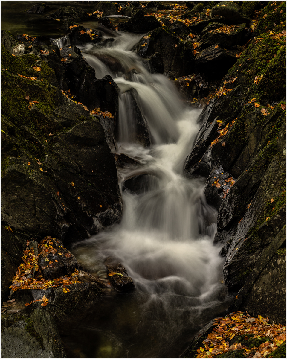 _DSC1038-1 copy.jpg