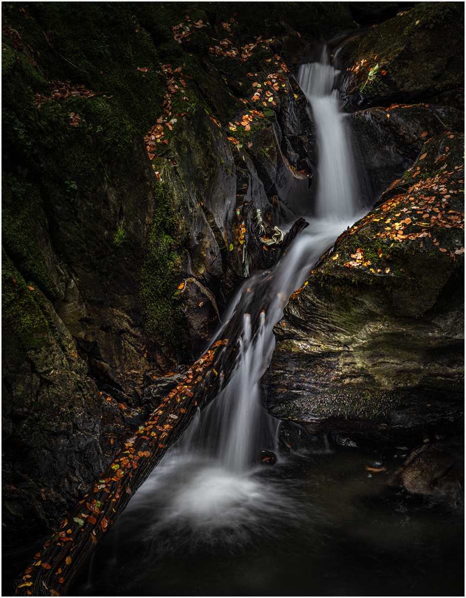 _DSC1041-1 copy.jpg