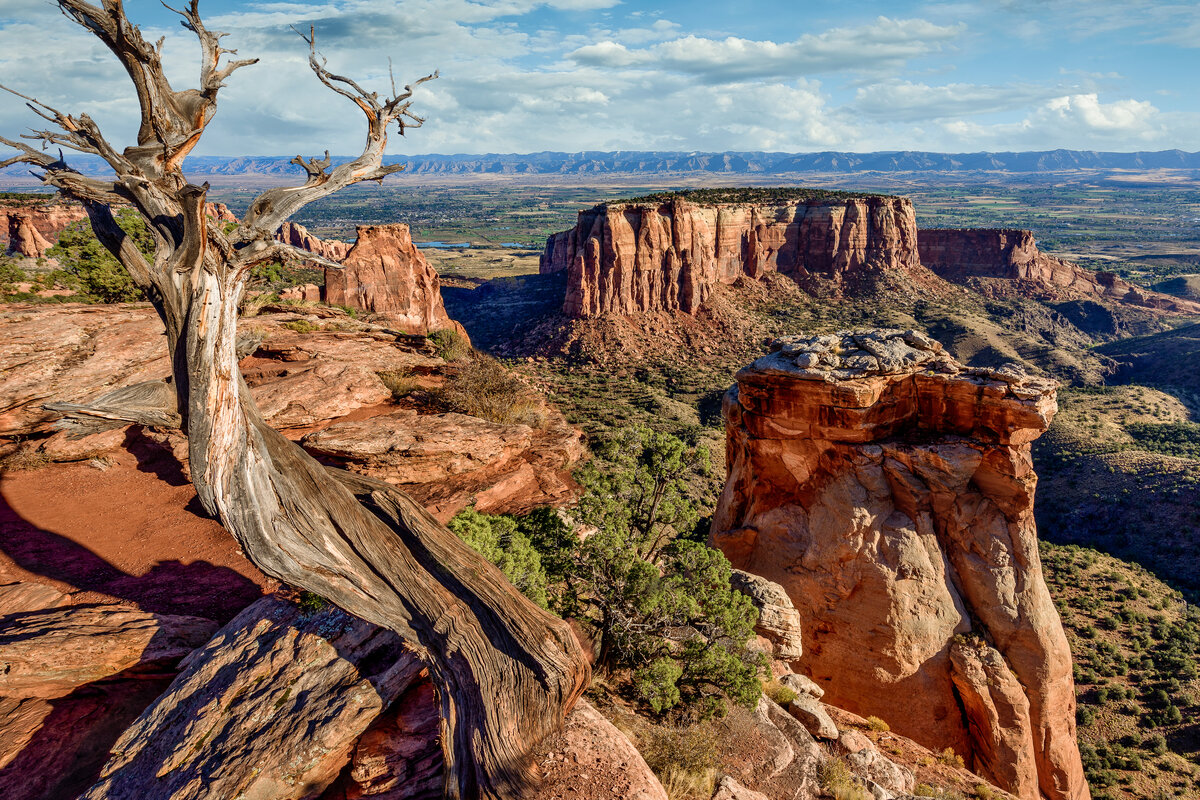 _DSC1045-Edit.jpg