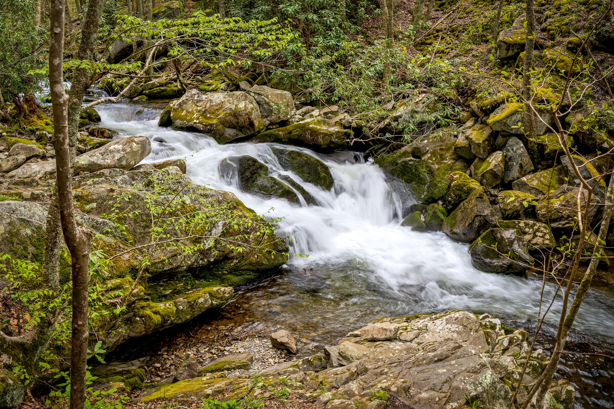 _DSC1051_DxO-Edit.jpg