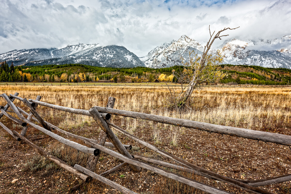 _DSC1075_DxO-Edit.jpg