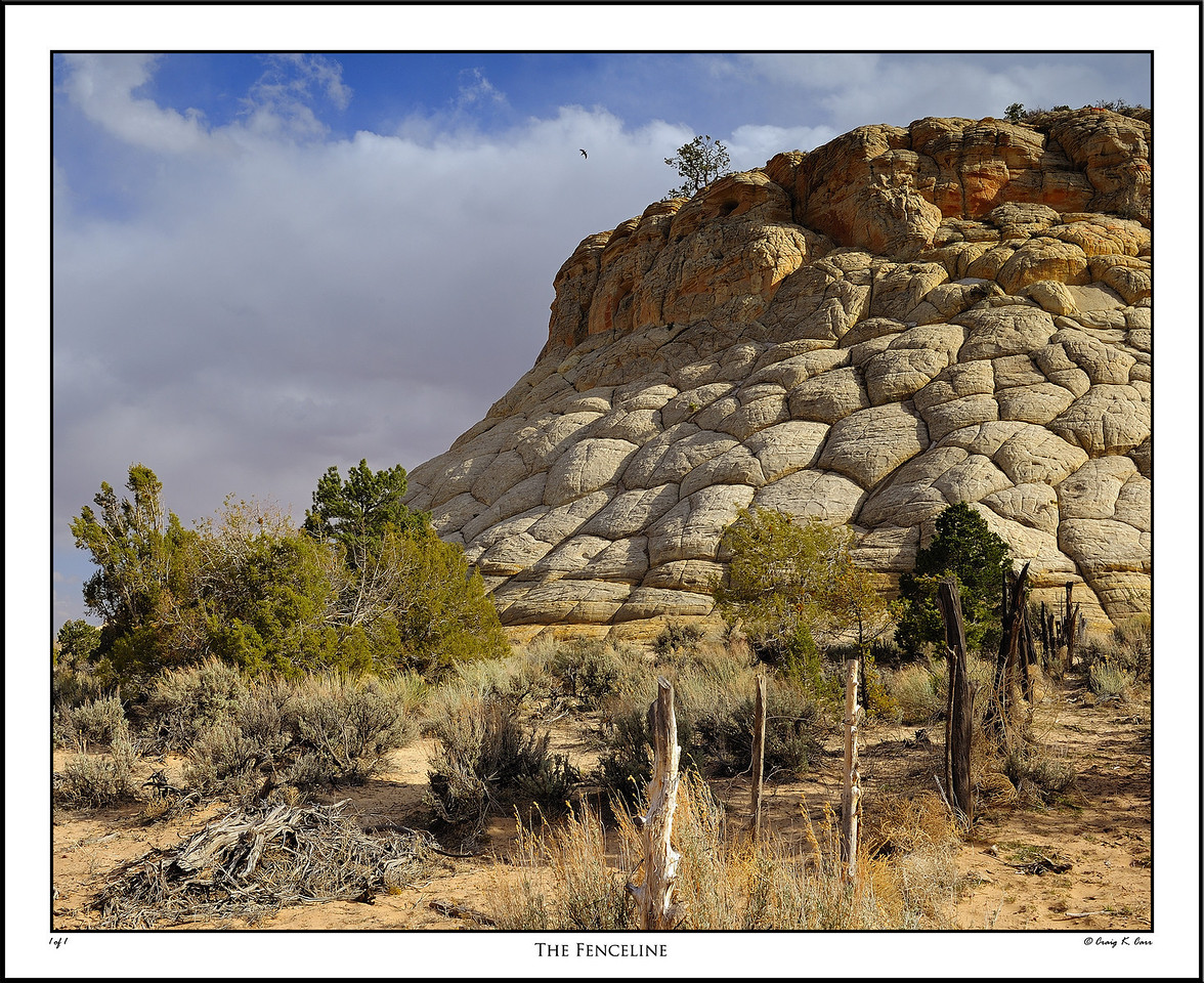 _DSC1079_2-X2.jpg
