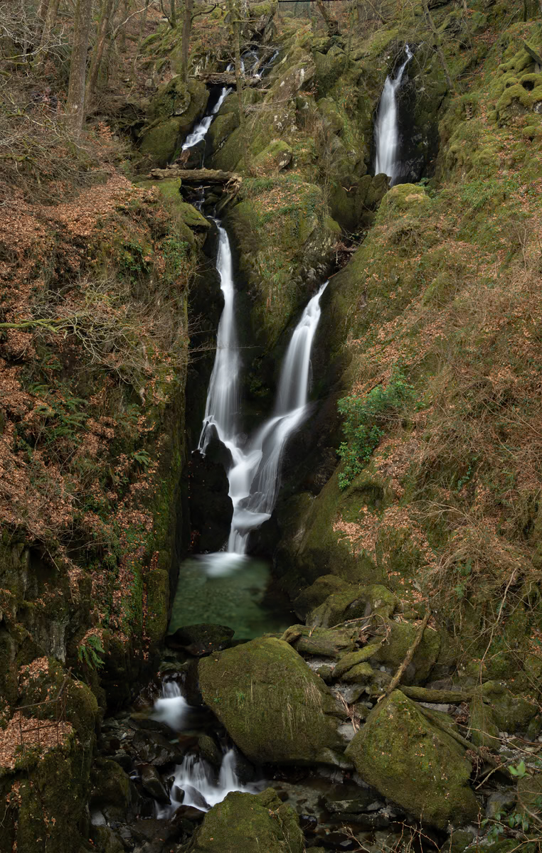 _DSC1118-1 copy.jpg