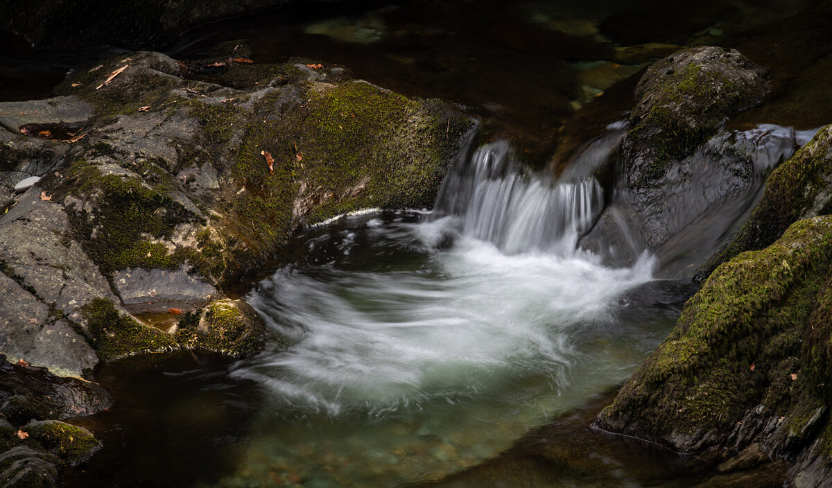 _DSC1124-1 copy.jpg