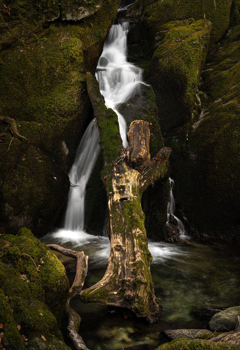 _DSC1138-1 copy.jpg