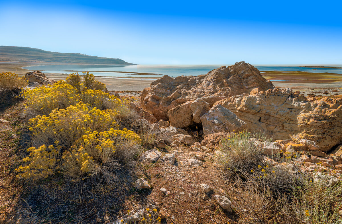 _DSC1141-NEF_DxO_DeepPRIMEXD-Pano-Edit.jpg