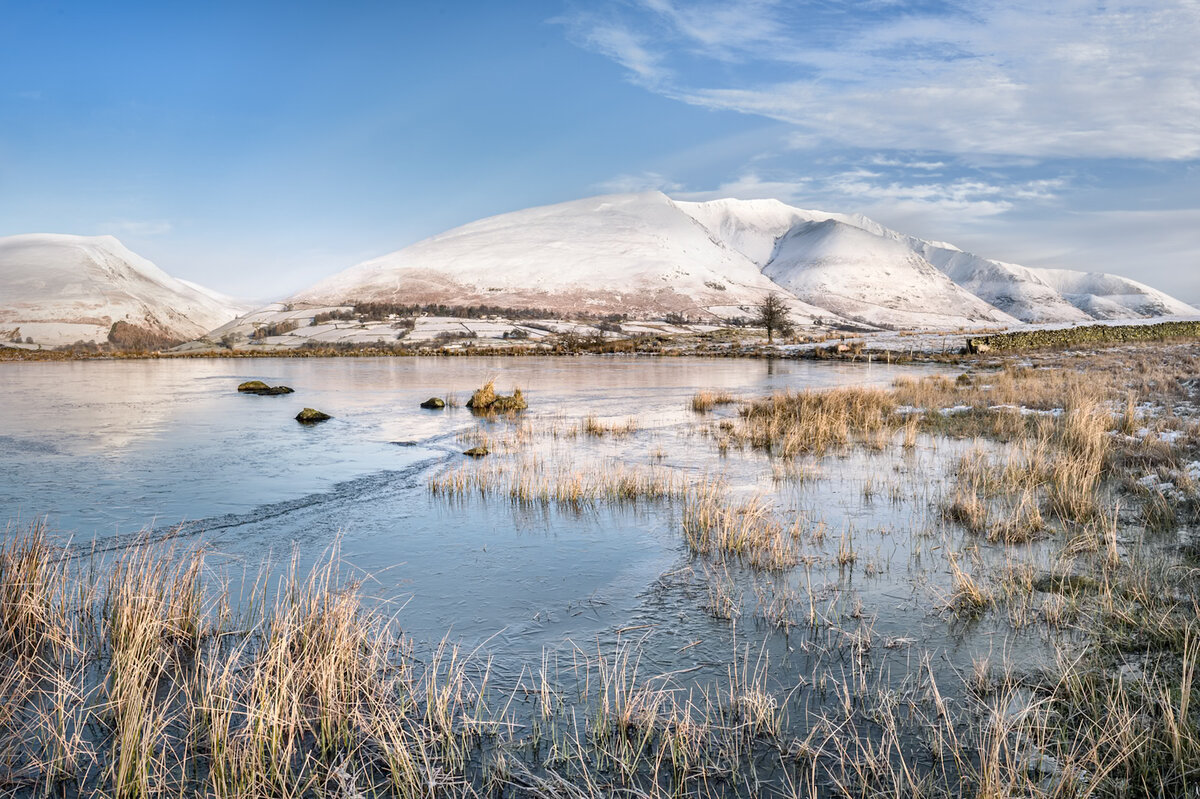 _DSC1239-Pano-2-1 cropped more 6 1600 no stroke.jpeg