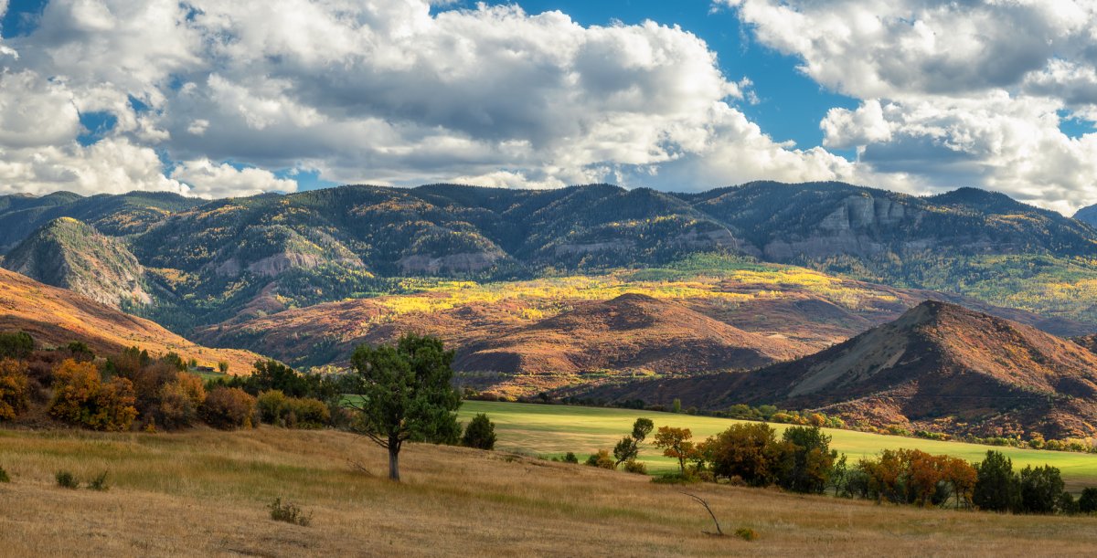 _DSC1271-Pano-Edit-Edit.jpg