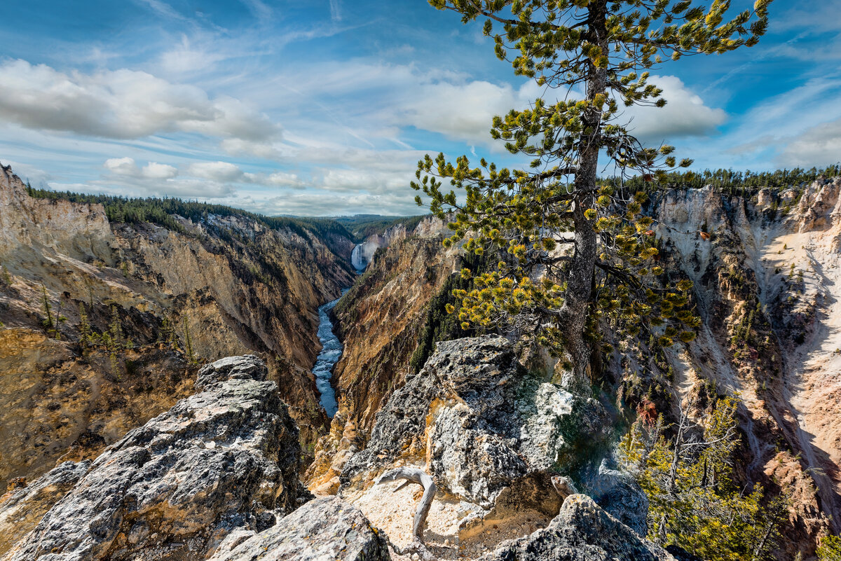 _DSC1285_DxO-Edit.jpg