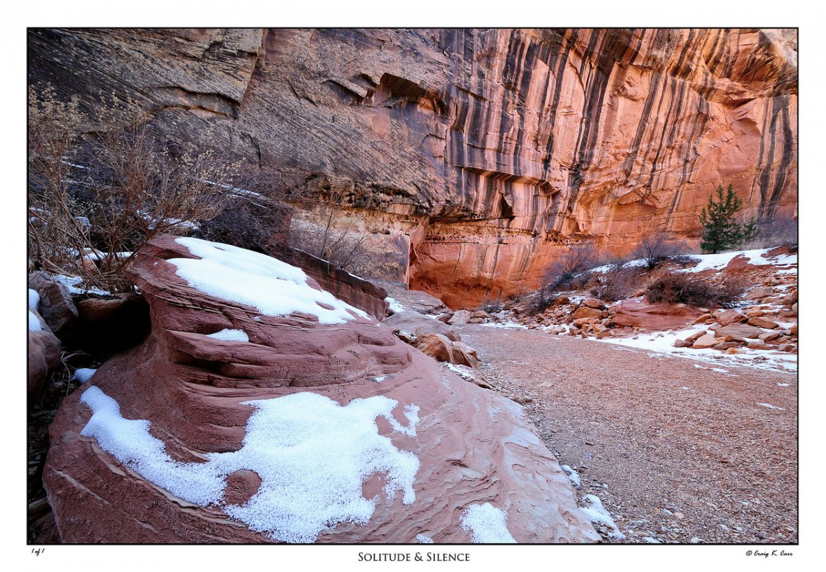 _DSC1294-X2.jpg