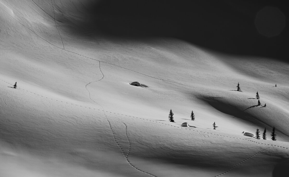 _DSC1301.jpg
