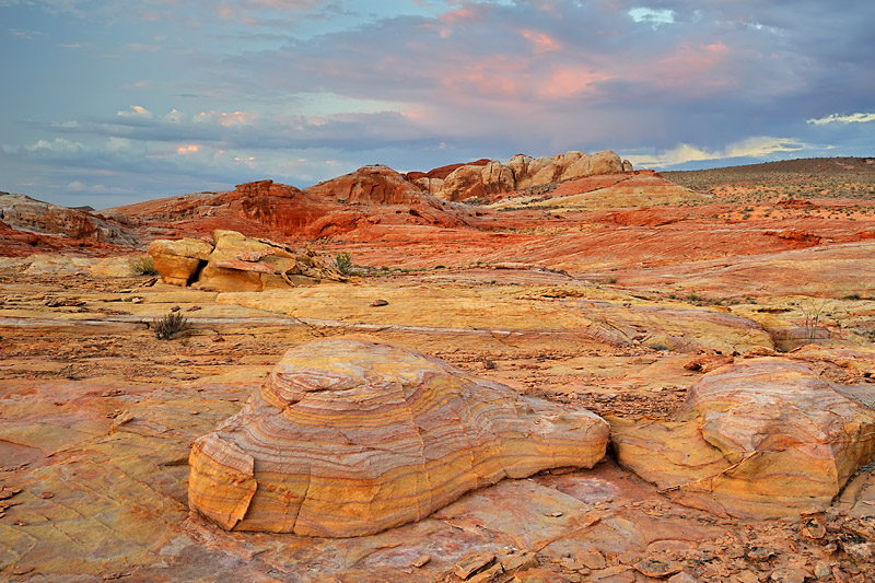 _DSC1323_d1w.jpg
