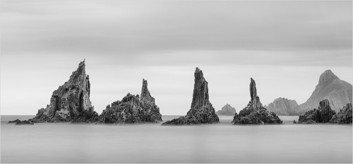 _DSC1353-1 copy.jpg