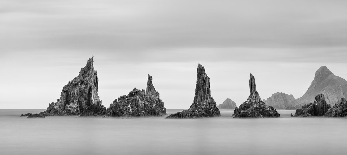 _DSC1353-1 copy.jpg