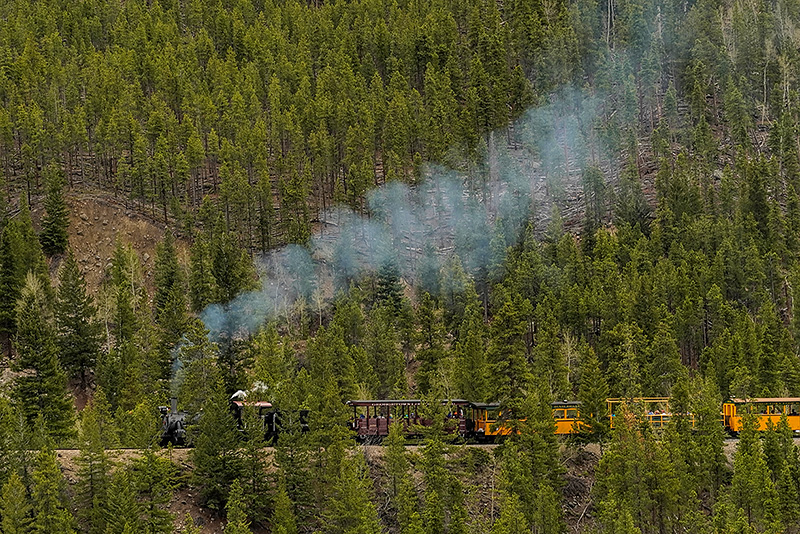 _DSC1381_dw.jpg