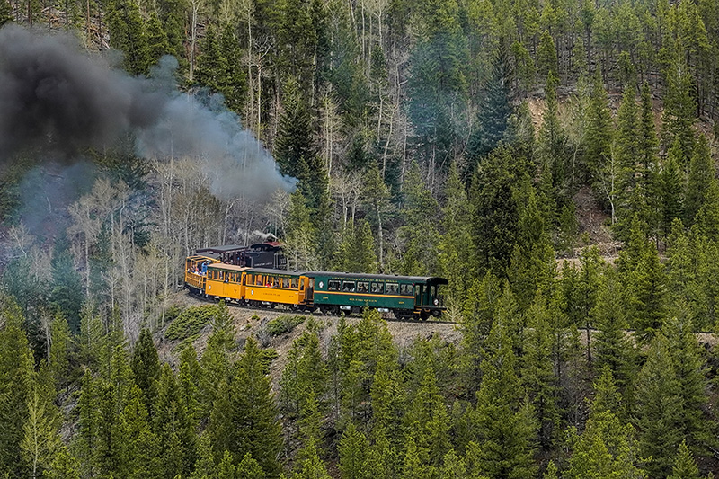 _DSC1388_dw.jpg