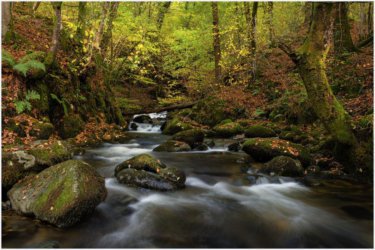 _DSC1415-1 copy.jpg