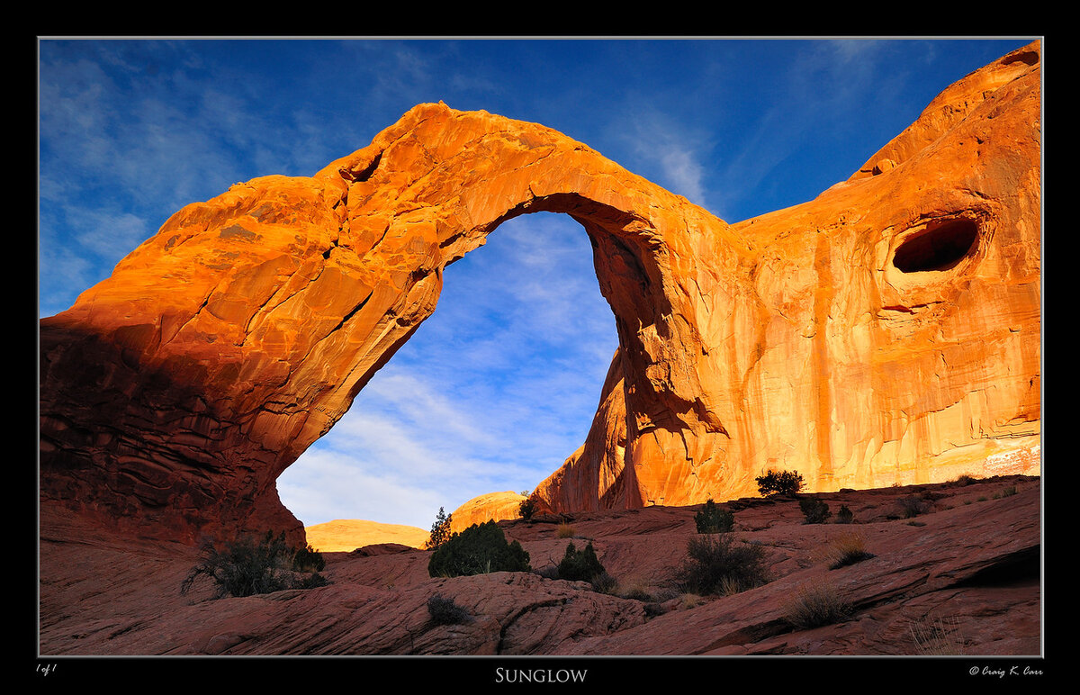 _DSC1438-X2.jpg