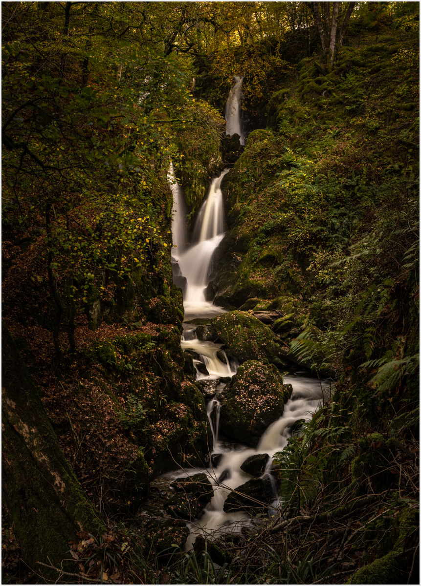 _DSC1461-1 copy.jpg