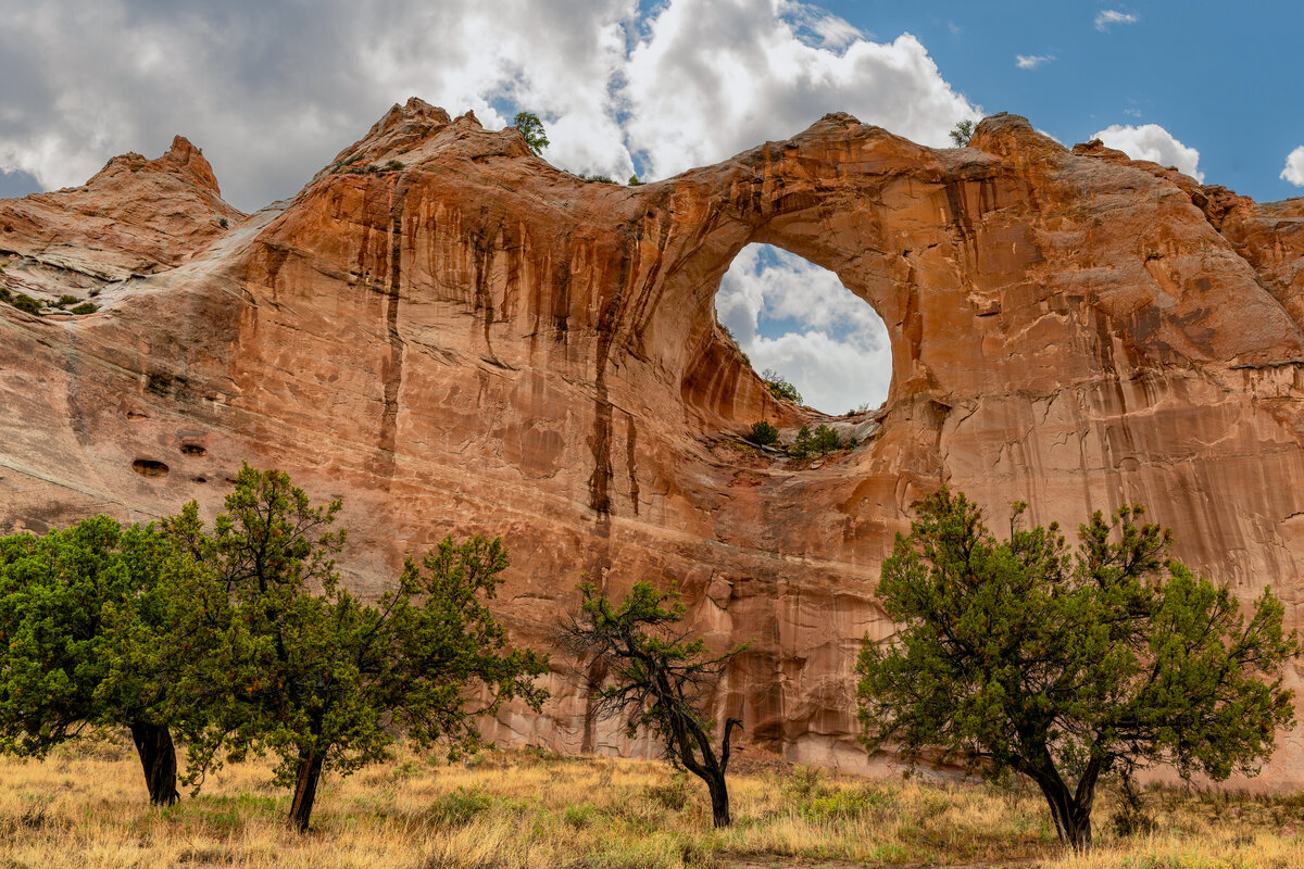 _DSC1478-Pano-Edit.jpg
