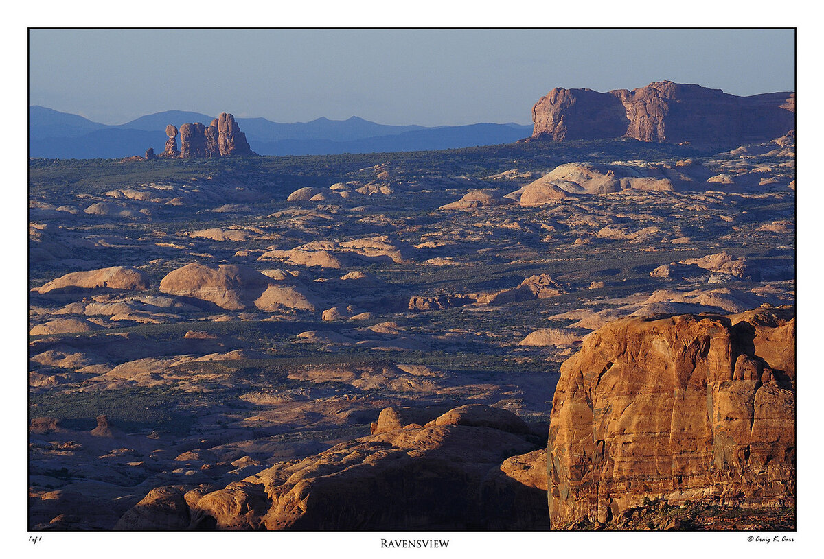 _DSC1590-X2.jpg
