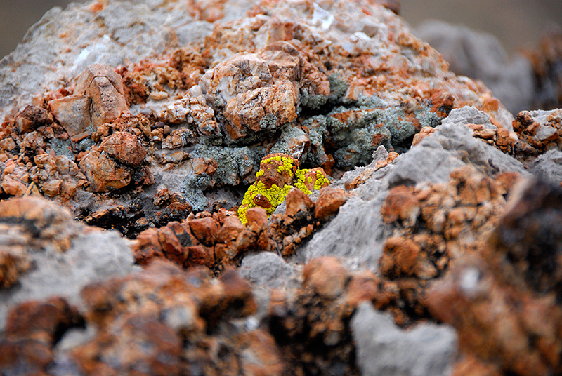 _DSC1616_dw.jpg
