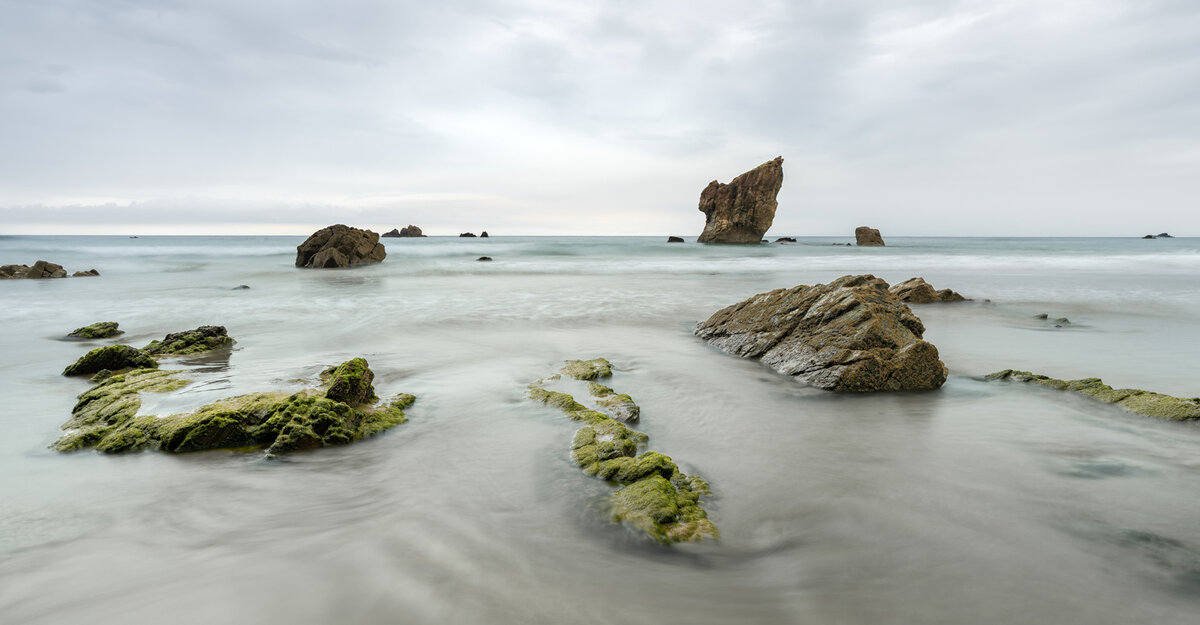 _DSC1677-3 copy.jpg