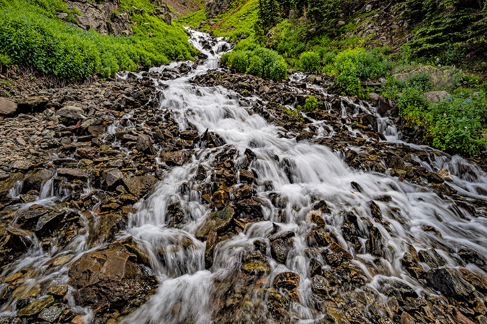 _DSC1679_dw.jpg
