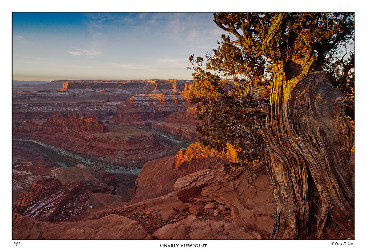 _DSC1684-X2.jpg
