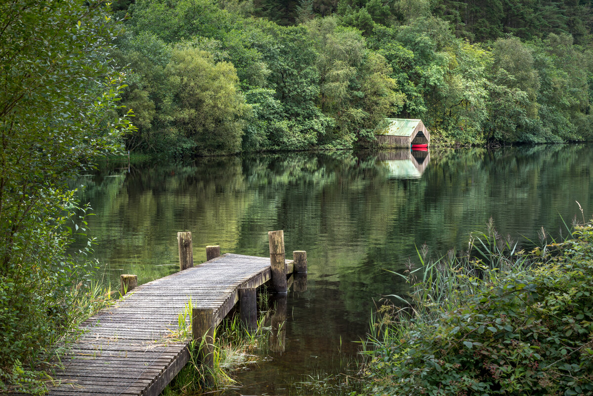 _DSC1718-1 no stroke (1).jpg