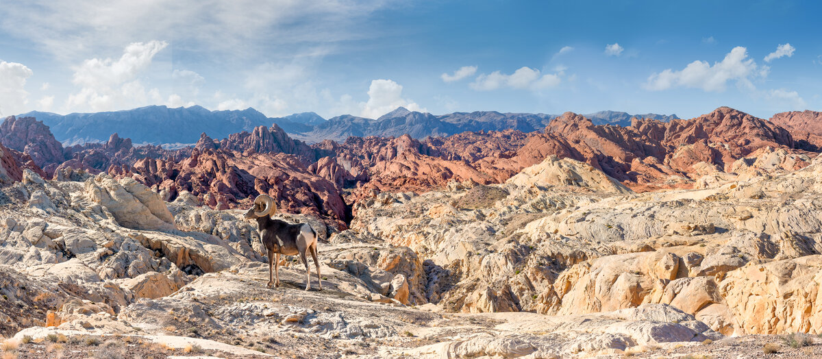 _DSC1762_DxO-Pano-2-Edit.jpg