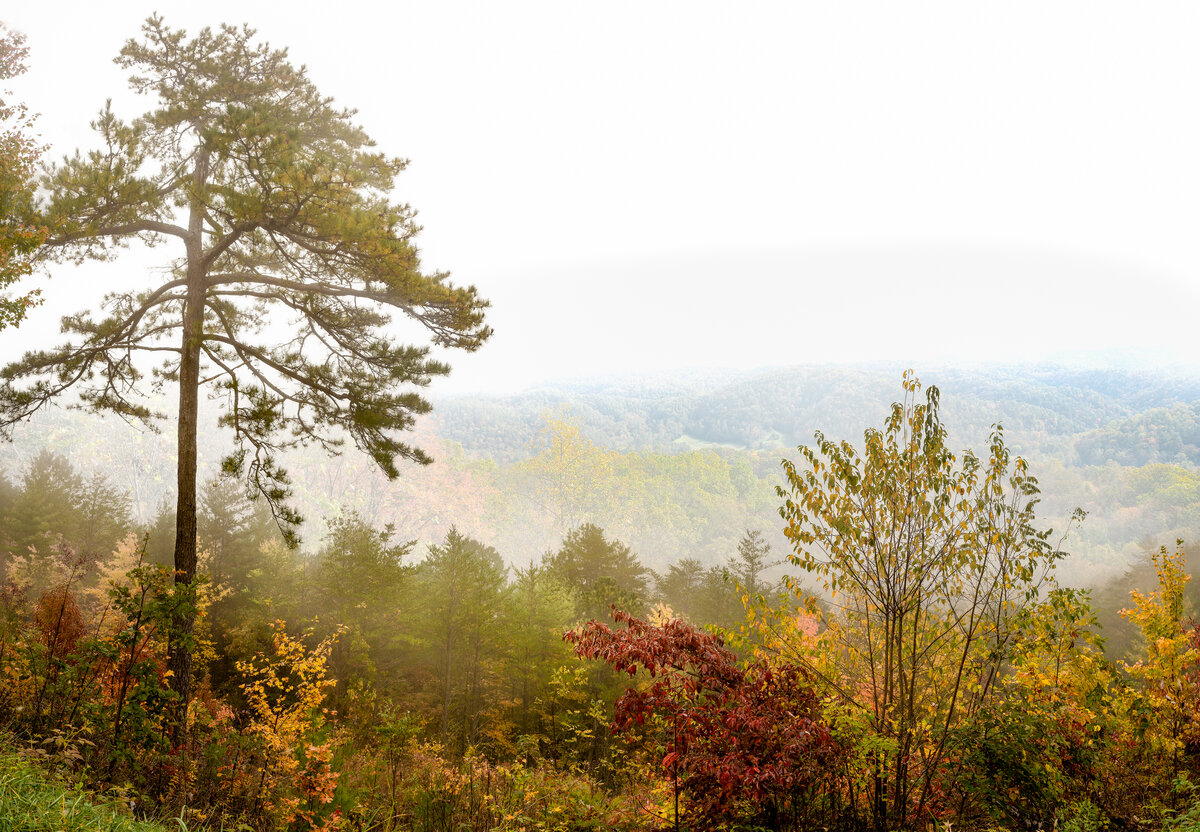 _DSC1773-NEF_DxO_HQ-Pano-Edit copy.jpg
