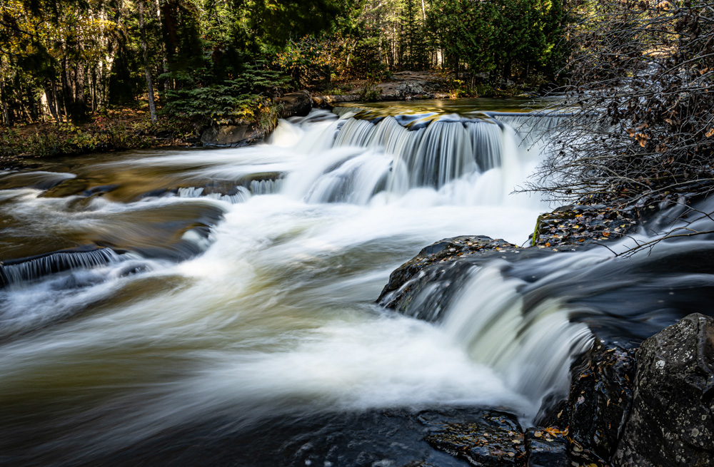 _DSC1783.jpg