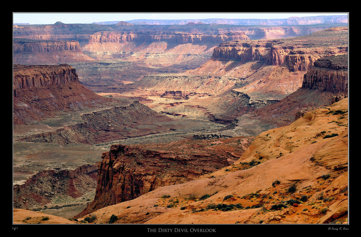 _DSC1799-2500-X2.jpg