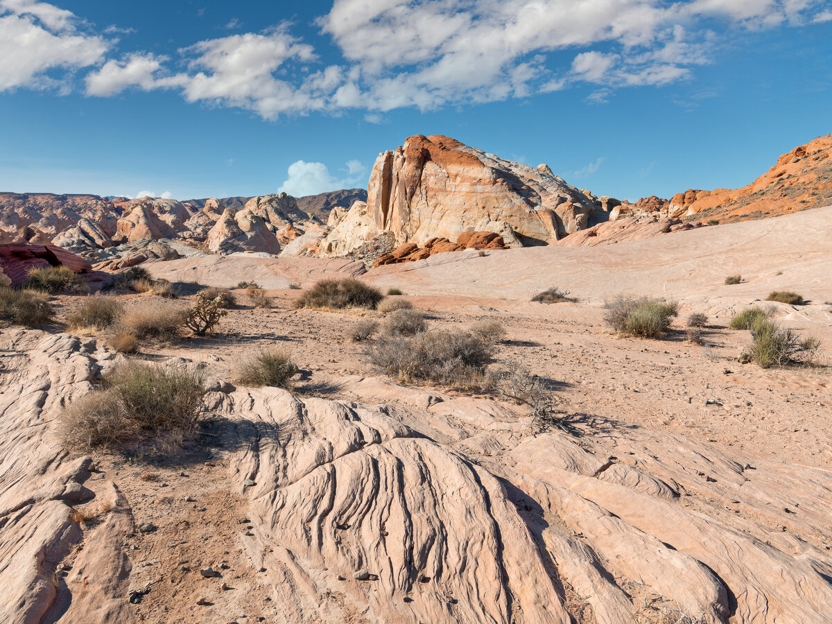 _DSC1802-NEF_DxO_HQ-Edit.jpg