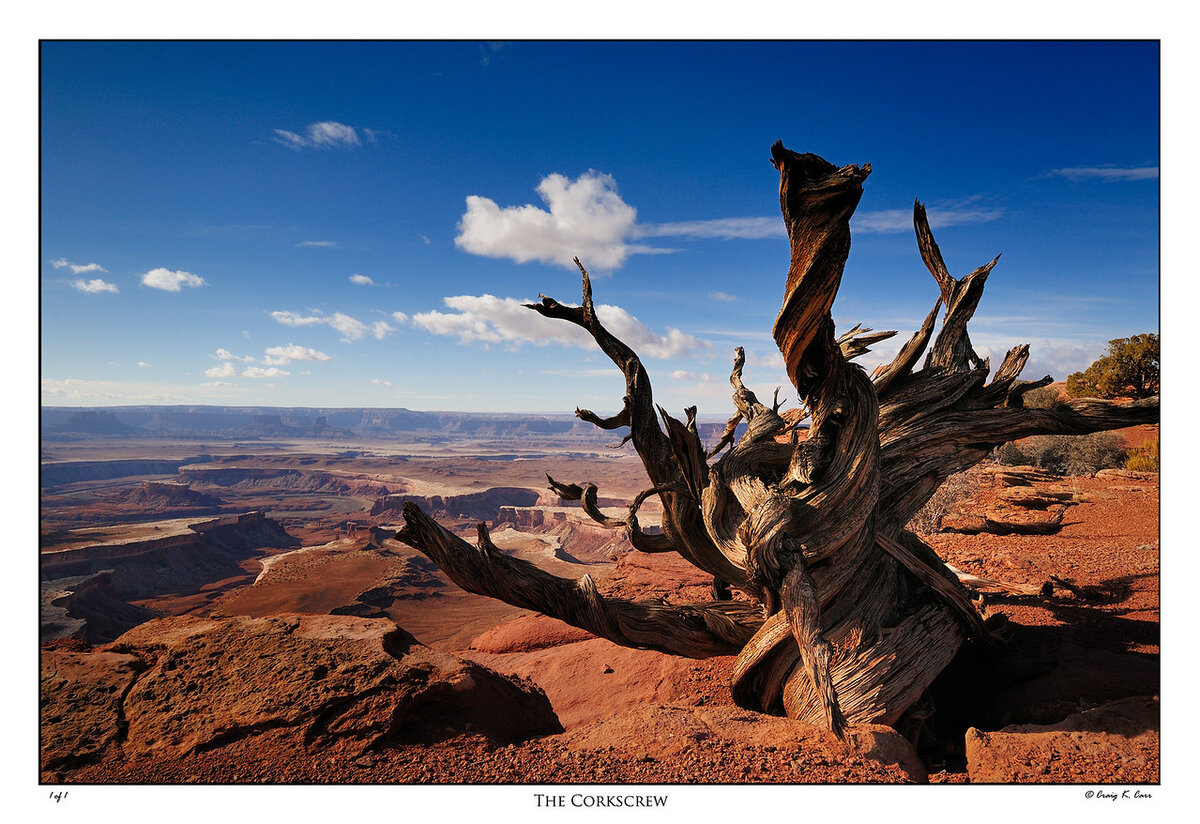 _DSC1810-X2.jpg