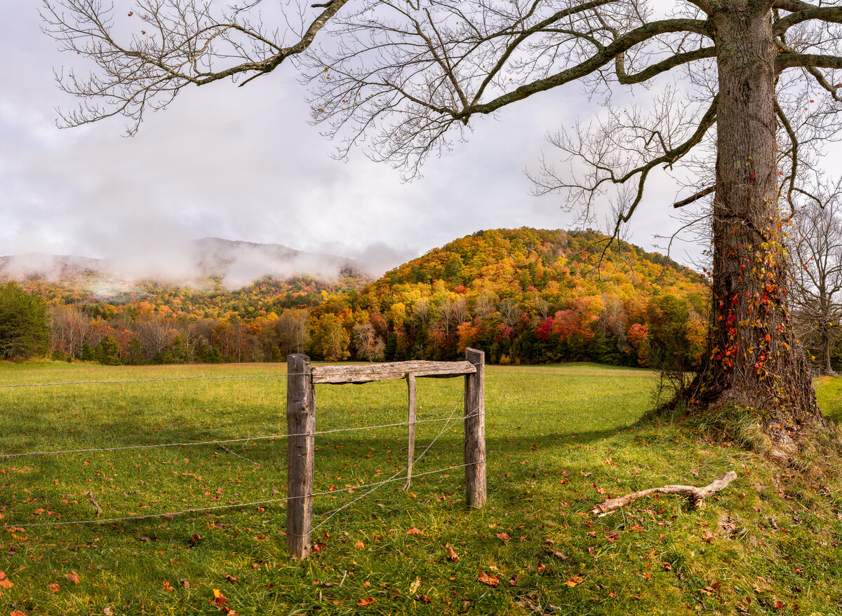 _DSC1814-NEF_DxO_HQ-Pano-Edit.jpg