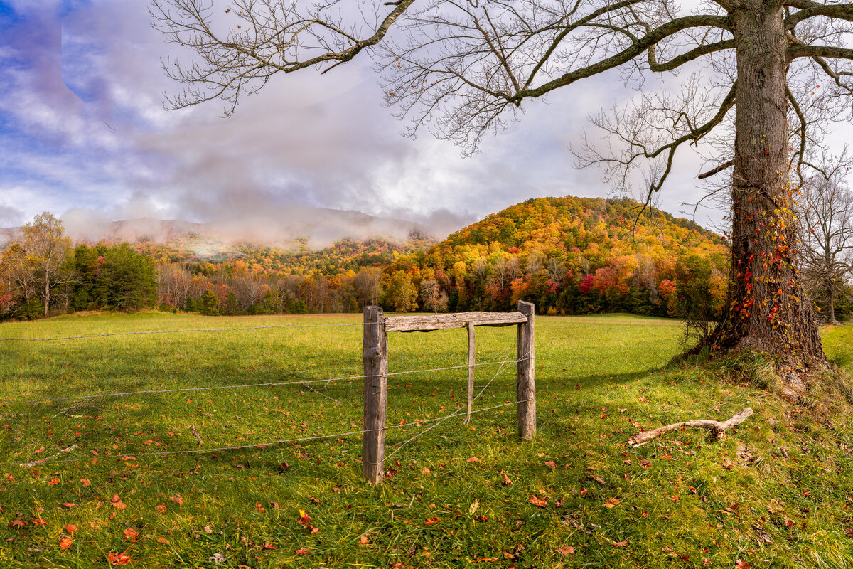 _DSC1814-NEF_DxO_HQ-Pano-Edit.jpg