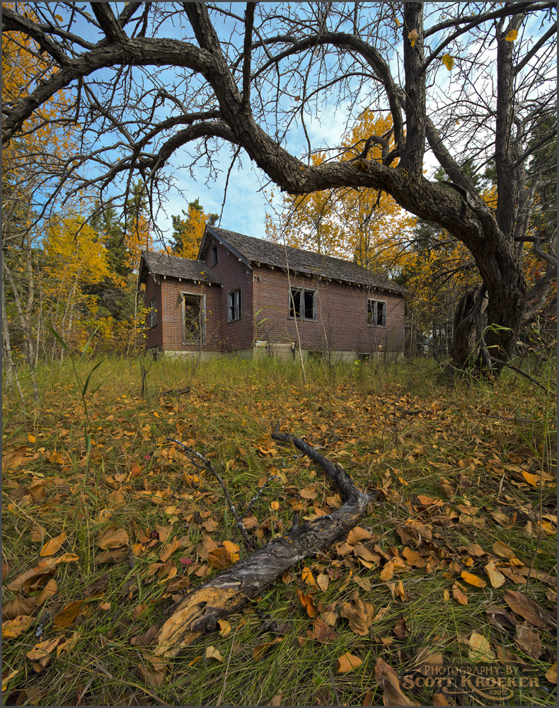 _DSC1904web.jpg