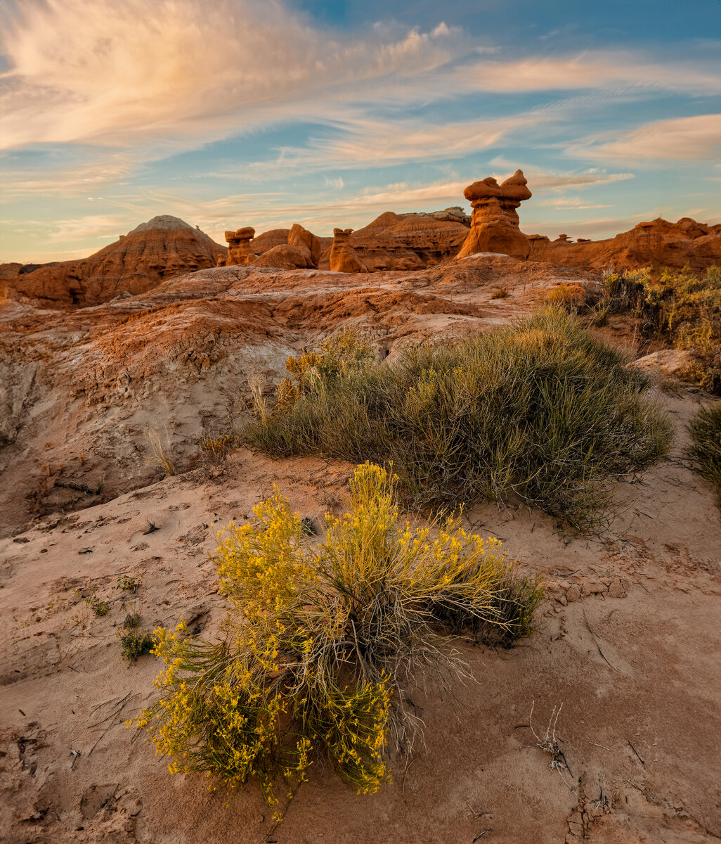 _DSC1906_DxO-Edit.jpg