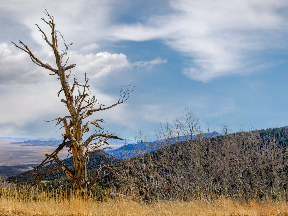 _DSC1926_DxO-Pano-Edit.jpg