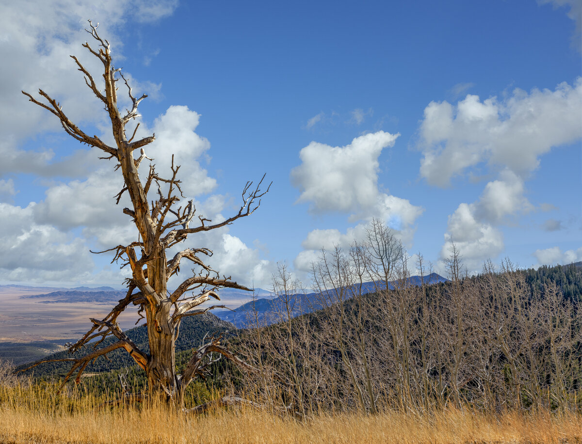 _DSC1926_DxO-Pano-Edit.jpg