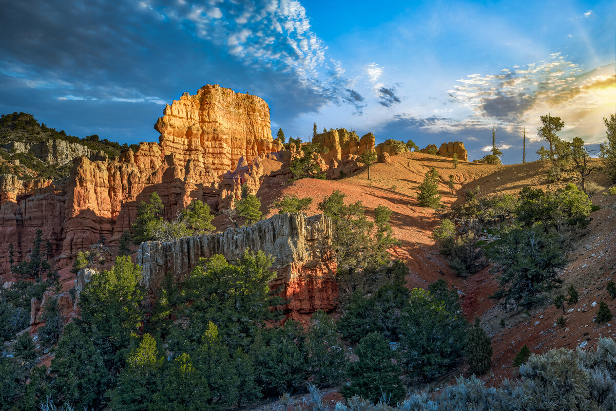 _DSC1994_DxO-Edit.jpg